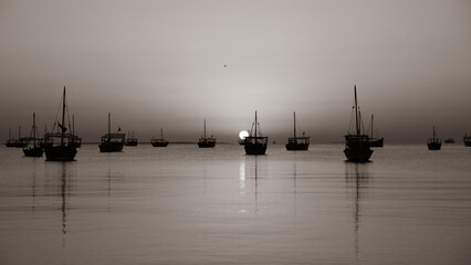 black and white image of dhows in the shore parked at katara beach in qartar during dhow festival.