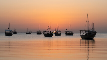 dhows in the shore parked at katara beach in qartar during dhow festival. - obrazy, fototapety, plakaty