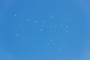 A Sky Full of Paragliders