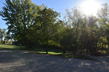 Sun Over Trees in a Park