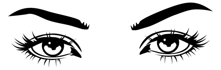 Female look drawing. Pair of pretty woman eyes