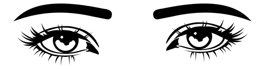 Black open female eyes. Eyelashes and eyebrows drawing