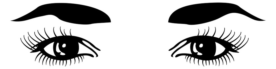 Woman looking eyes drawing. Woman face brows