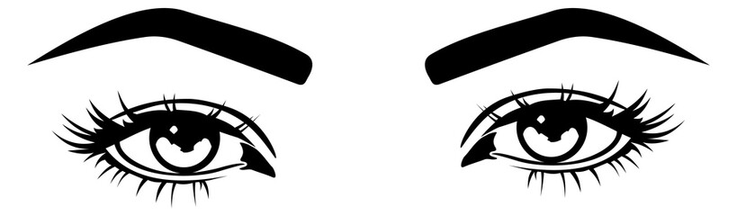 Woman eyes pair. Female makeup. Human beauty