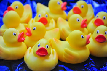 rubber ducks in a row