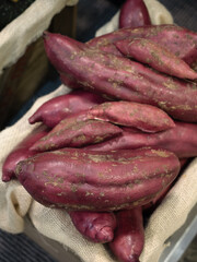 食品サンプル　サツマイモ