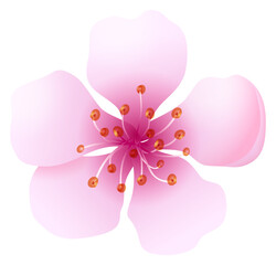 Pink flower. Realistic bloom. Romantic pastel petal