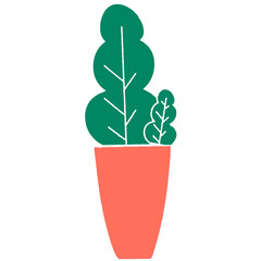 decorative plants in pots Decorate inside the house Decorate the house