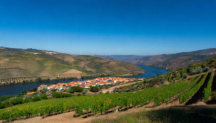 scenic view of the beautiful pinhao village surounded by vineyards in the beautiful douro river valley vila real district viseu district portugal - obrazy, fototapety, plakaty