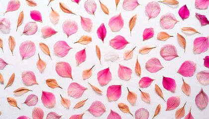 nature pattern of abstract pink flowers from dry petals transparent petal leaf with natural texture as nature background or wallpaper macro texture floral design minimal flat lay pattern view