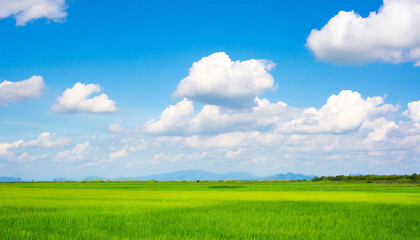 Fototapeta na wymiar abstract blur beautiful green nature and blue sky white clouds wallpaper background