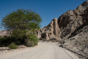 Árbol en la vera del camino de tierra y rocas, escenográfico, Salta, Argentina