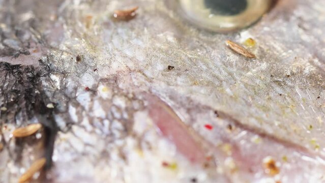 Raw stuffed dorado fish sprinkled with cumin seeds. Macro shot