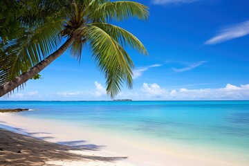 Fototapeta na wymiar A peaceful beach with palm trees and clear blue waters evoking relaxation.