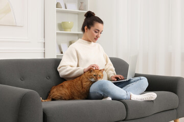 Beautiful woman working with laptop and petting cute cat on sofa at home