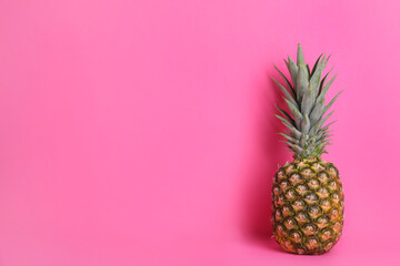 Whole ripe pineapple on pink background, space for text
