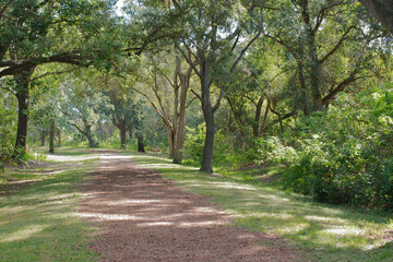 Fototapeta premium S Curve dirt Path Sunny Day in Park walking trail. Green grass on the sides and trees. 