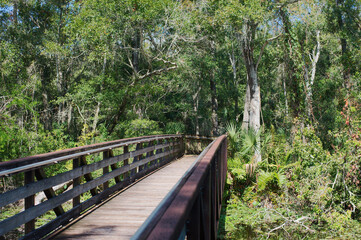 Fototapeta premium Picture leading lines boardwalk with metal rails in a nature park. Green growth and trees with bright sun and shade.