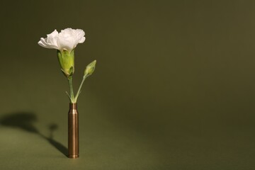 Bullet cartridge case and beautiful carnation flower on dark green background, space for text