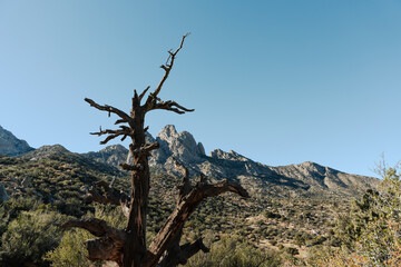Organ Mountains in Las Cruces, New Mexico