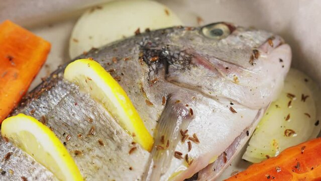 Dorado fish on baking sheet with vegetables and lemon. Seafood concept. Panning camera shot