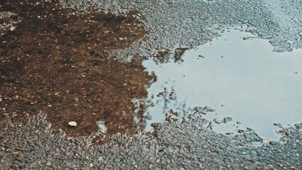 Rain Water Puddle on Concrete Sidewalk