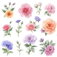 set of flowers isolated