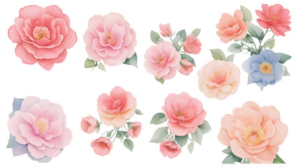 set of flowers isolated