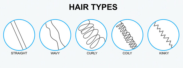 Classification of different hair types