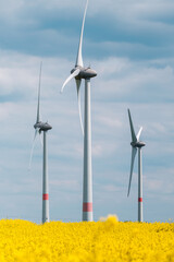 Countryside landscape with flowering rapeseed field with wind power turbines in the sunny day in...