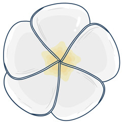 Naklejka premium Illustration of white Frangipani flowers