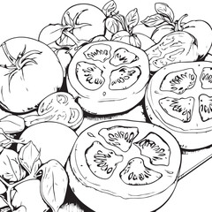 tomato and tomatoe slices coloring page