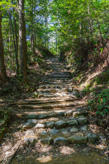 熊野古道　伏拝王子－三軒茶屋跡間（和歌山県田辺市本宮町）
