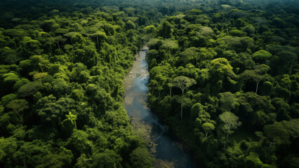 Naklejka na ściany i meble Stunning aerial view of the lush Amazon