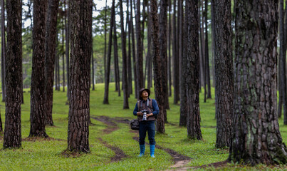 Photographer is taking photo of the new discovering bird species while exploring in the pine forest...