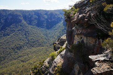 Blue Mountains National Park in Australia - オーストラリア ブルーマウンテン 国立公園