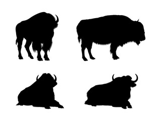 Set of Black Bison Silhouettes