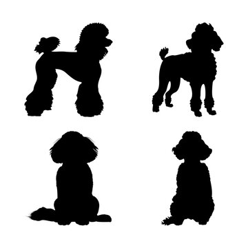 Set of Poodle Dog Silhouettes