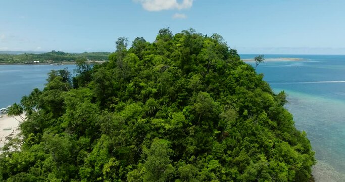 Green trees and pants over the Hiyor-hiyoran Island. Britania Islands. Surigao del Sur, Philippines.