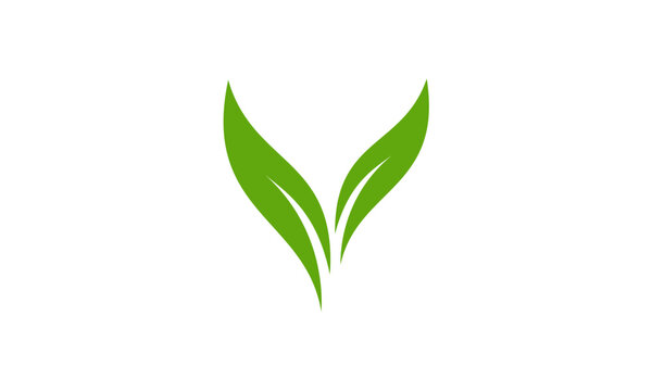 Growing leaf V letter logo
