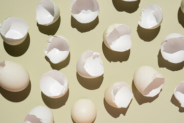 Empty broken eggshell layout.