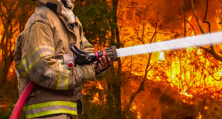 Firefighter spray water to bushfire. Tropical wildfires release carbon dioxide (CO2) emissions that...