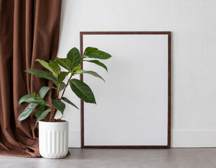 Plant against a white wall mockup. White wall mockup with brown curtain
