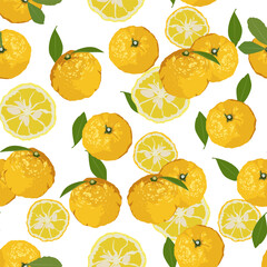 A seamless pattern of Yuzu fruits. vector illustration.
