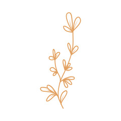 tree with leaves isolated