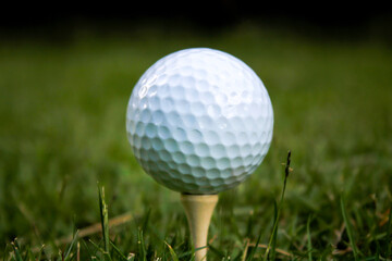 Golf ball set on tee. Dark background.