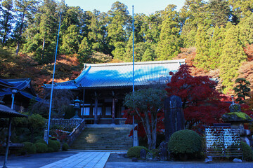 大雄山最乗寺。神奈川県南足柄市にある曹洞宗の寺院。紅葉に彩られる境内。