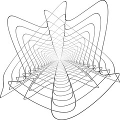 spider web