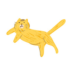 cat on a white background