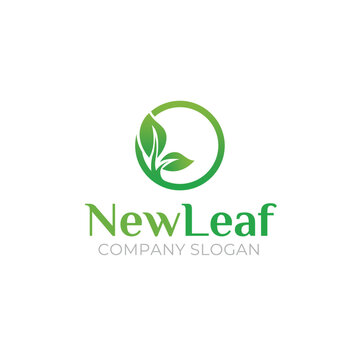 New leaf green eco logo, o letter green logo, Green seed logo vector